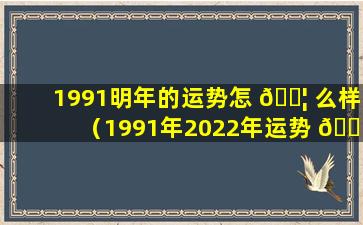 1991明年的运势怎 🐦 么样（1991年2022年运势 🐡 及运程每月运程）